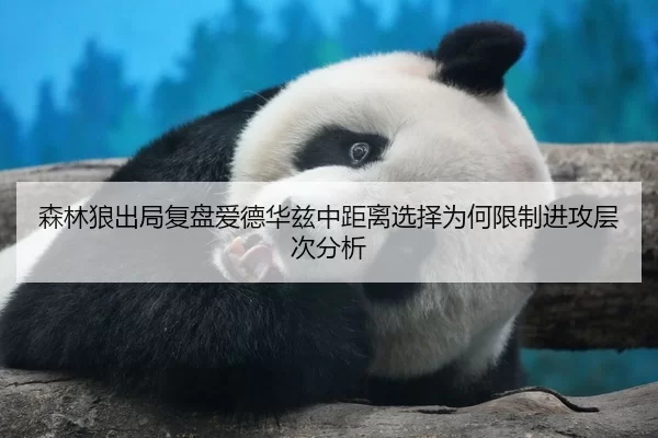 森林狼出局复盘爱德华兹中距离选择为何限制进攻层次分析