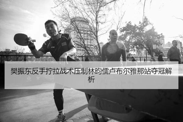 樊振东反手拧拉战术压制林昀儒卢布尔雅那站夺冠解析