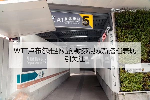 WTT卢布尔雅那站孙颖莎混双新搭档表现引关注
