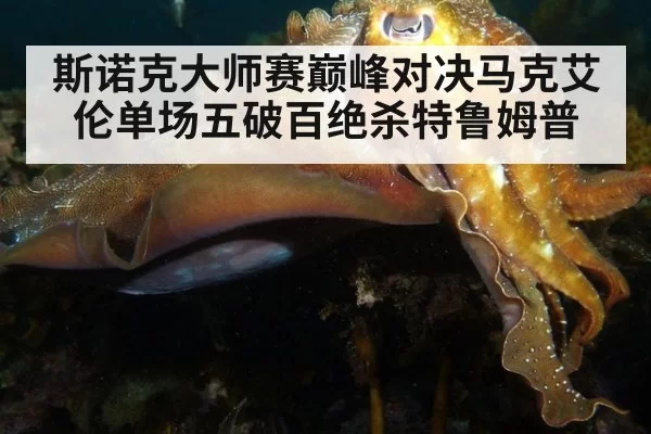 斯诺克大师赛巅峰对决马克艾伦单场五破百绝杀特鲁姆普